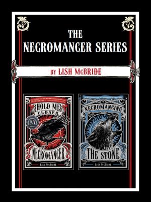 Cover of the book The Necromancer Series by Darcey Rosenblatt