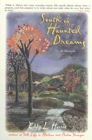 Cover of the book South of Haunted Dreams by Thomas Frank