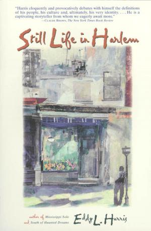 Cover of the book Still Life in Harlem by Götz Aly