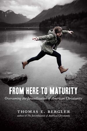 Cover of the book From Here to Maturity by Dr. Christopher Handy, Ph.D.