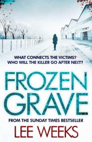 Cover of the book Frozen Grave by Garrett Carr