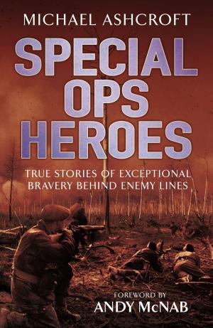 Cover of the book Special Ops Heroes by Pamela Evans