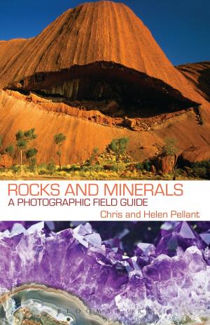 Cover of the book Rocks and Minerals by Allan Beever