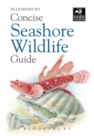 Cover of the book Concise Seashore Wildlife Guide by René Chartrand