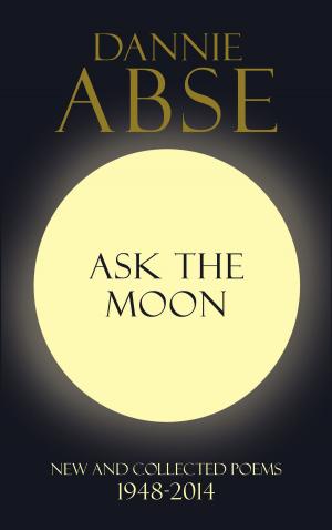 Cover of the book Ask the Moon by Yuukishoumi Tetsuwankou Kouseifukuya