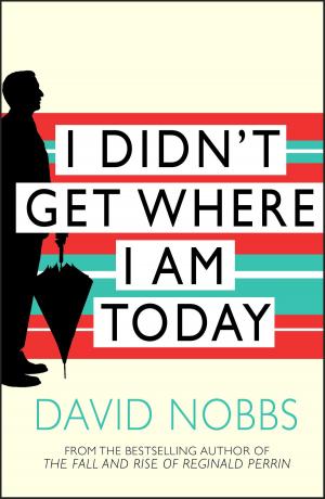 Cover of the book I Didn't Get Where I Am Today by Nico Cardenas
