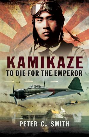 Cover of the book Kamikaze by Ben Hughs