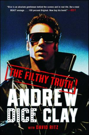 Cover of the book The Filthy Truth by Daniel Stern