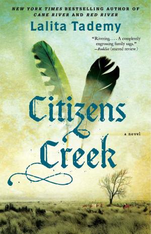 Cover of the book Citizens Creek by Vonda N. McIntyre