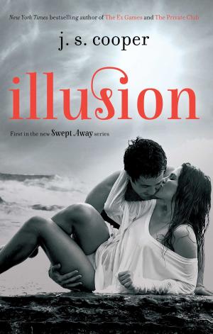 Cover of the book Illusion by Marata Eros