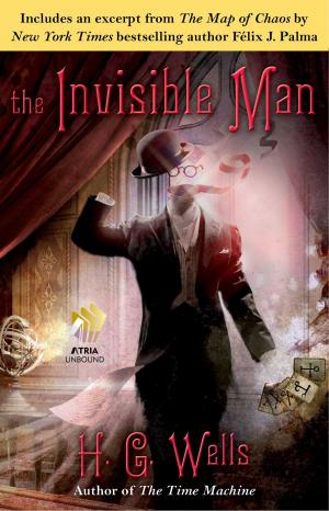 Cover of the book The Invisible Man by Anuradha Roy