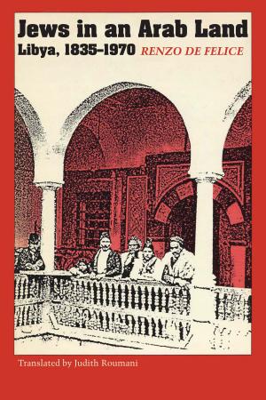 Cover of the book Jews in an Arab Land by 