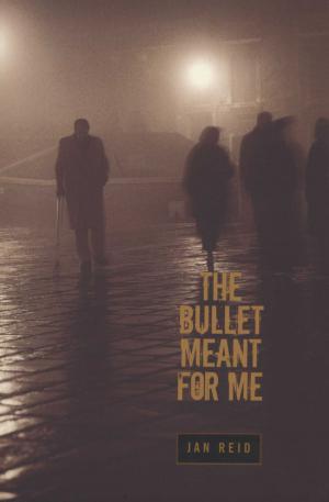 Cover of the book The Bullet Meant for Me by David Greven