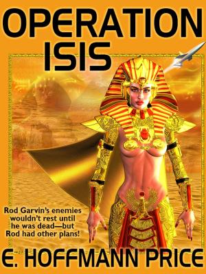 Book cover of Operation Isis