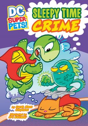 Cover of the book Sleepy Time Crime by D.L. Green
