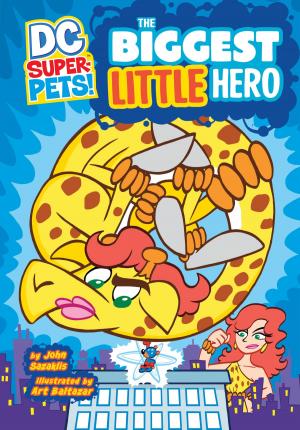 Cover of the book The Biggest Little Hero by Kim Kane