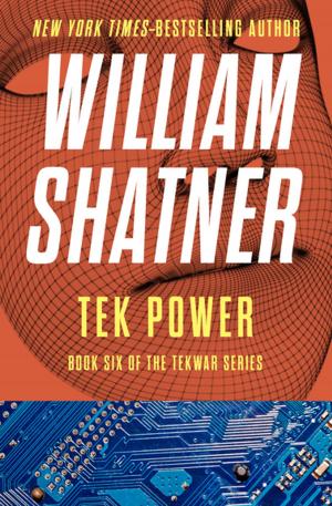 Cover of the book Tek Power by Larry Patrick Shriner