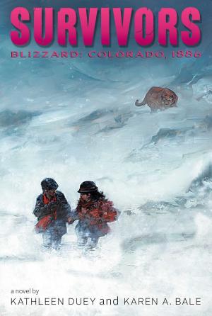 Cover of the book Blizzard by Carolyn Keene