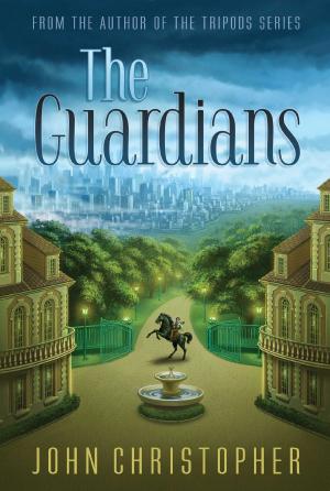 Cover of the book The Guardians by Jill Santopolo