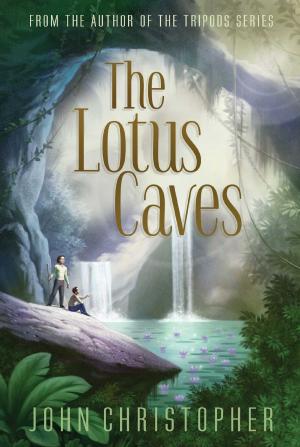 Cover of the book The Lotus Caves by R.L. Stine