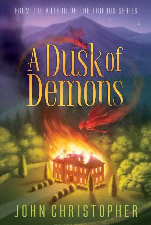 Cover of the book A Dusk of Demons by Carolyn Keene