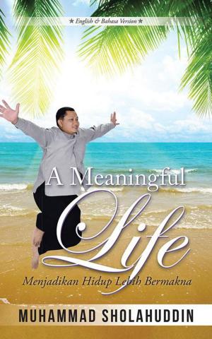 Cover of the book A Meaningful Life by Jonathon Siminoe