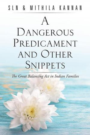 Book cover of A Dangerous Predicament and Other Snippets