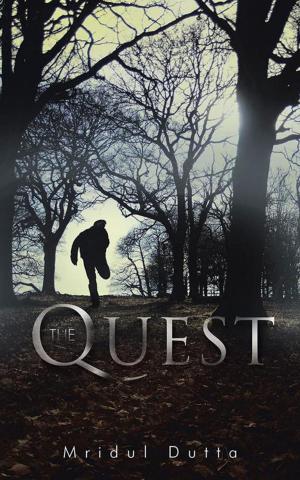 Cover of the book The Quest by Stephen Heynes