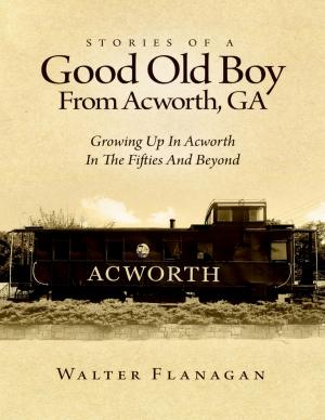 Cover of the book Stories of a Good Old Boy from Acworth, GA by Janet E. Meyers, Jennifer Rice