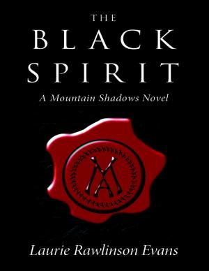 Book cover of The Black Spirit: A Mountain Shadows Novel
