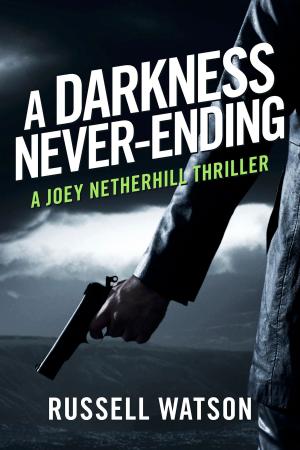 Cover of the book A Darkness Never-Ending by Del Lawrence