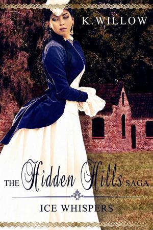 Cover of the book The Hidden Hills Saga by Christopher R. Ford