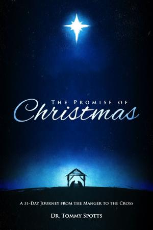 Cover of the book The Promise of Christmas by Steven Atwood