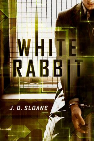Cover of the book White Rabbit by Rodney Hogue