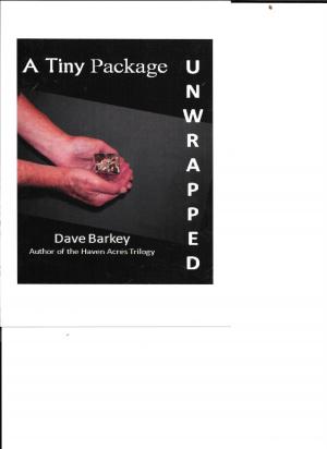 Book cover of A Tiny Package Unwrapped