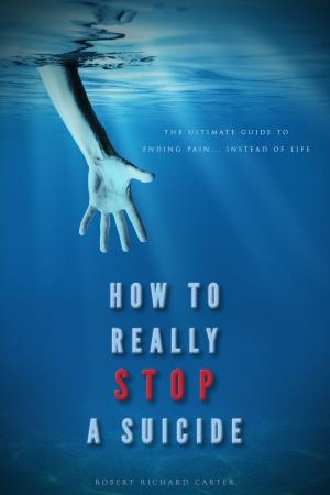 Cover of the book How To Really Stop A Suicide by Amanda Holder