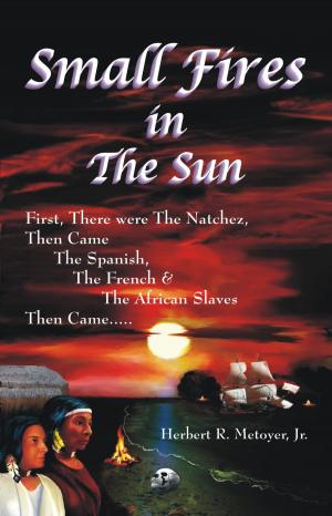 Cover of the book Small Fires in the Sun by Jason  Cerniglia