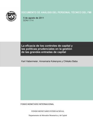 bigCover of the book La eficacia de los controles de capital y las políticas prudenciales en la gestión de la afluencia masiva de capitales by 