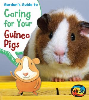 Cover of the book Gordon's Guide to Caring for Your Guinea Pigs by Michael Dahl
