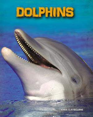 Cover of the book Dolphins by Janet Gurtler
