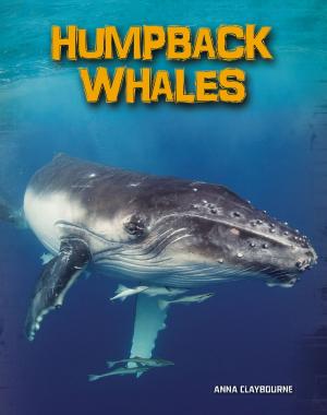 Book cover of Humpback Whales