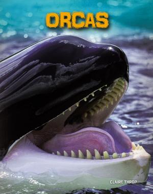 Cover of the book Orcas by Fran Manushkin