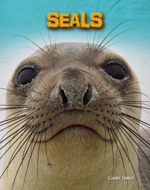 Cover of the book Seals by Rachel Ruiz