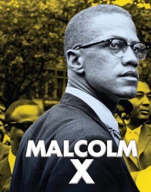 Cover of the book Malcolm X by Deborah Reber