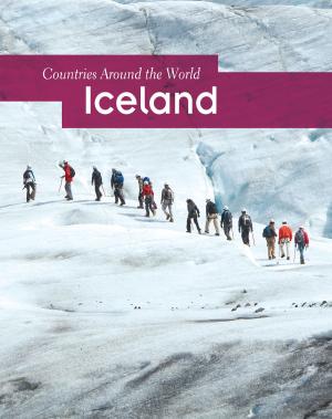 Book cover of Iceland