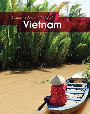 Cover of the book Vietnam by Steve Brezenoff