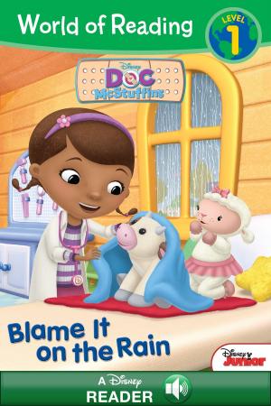 Cover of the book World of Reading Doc McStuffins: Blame it on the Rain by Disney Book Group