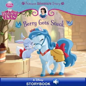 Book cover of Berry Gets Stuck: A Princess Adventure Story