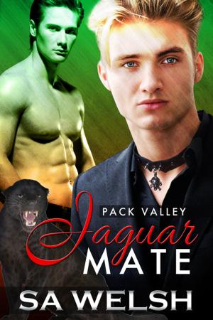 Cover of the book Jaguar Mate by Evi Asher