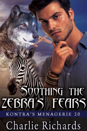 Cover of the book Soothing the Zebra's Fears by Kellie Kamryn